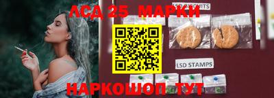 шишки Ирбит