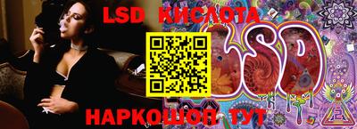 шишки Ирбит