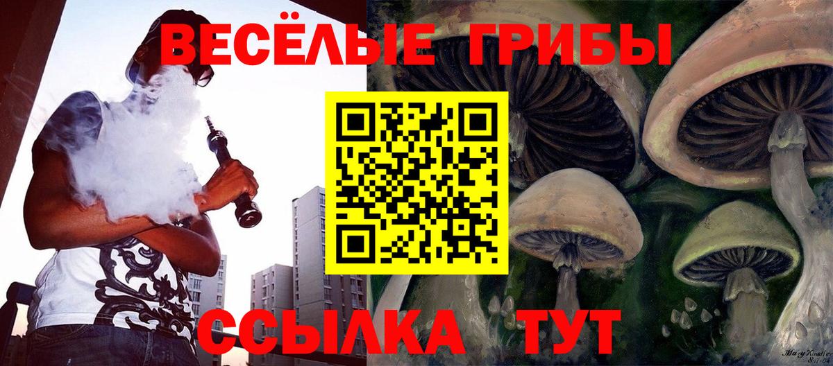 Псилоцибиновые грибы мицелий  Галлюциногенные грибы прущие грибы  хочу наркоту  Вход с VPN  Гатчина 